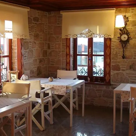 Hayalevi Ayvalik