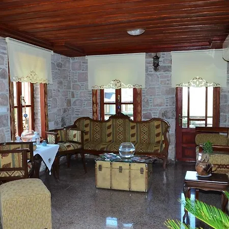 Hayalevi Ayvalik